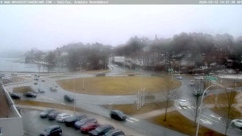 Armdale Roundabout 1