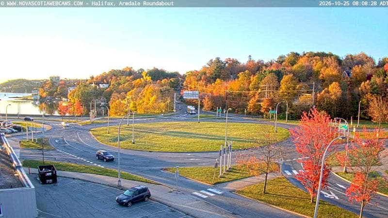 Armdale Roundabout 1