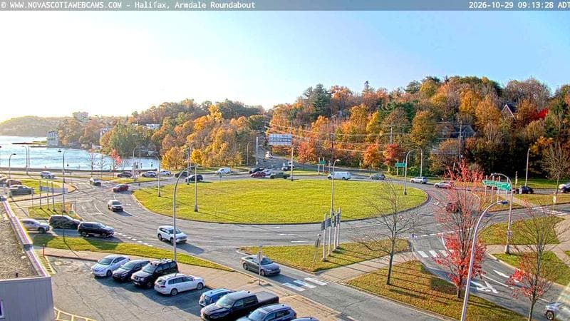 Armdale Roundabout 1