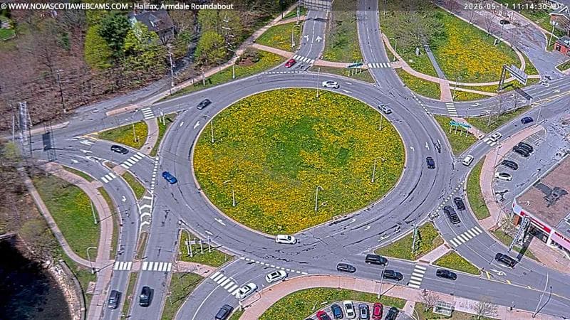 Armdale Roundabout 2
