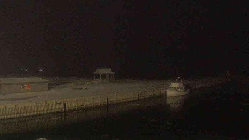 Belliveau Cove Harbour