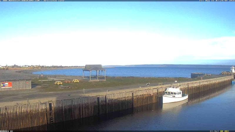 Belliveau Cove Harbour
