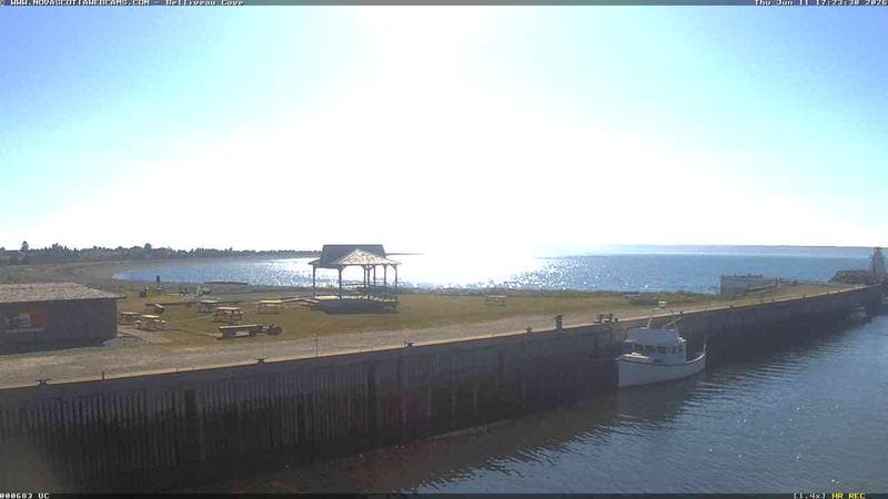 Belliveau Cove Harbour