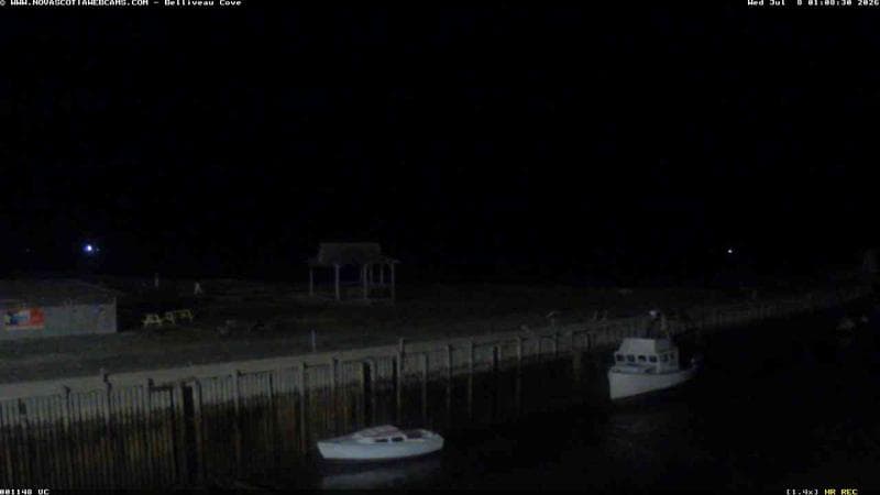 Belliveau Cove Harbour