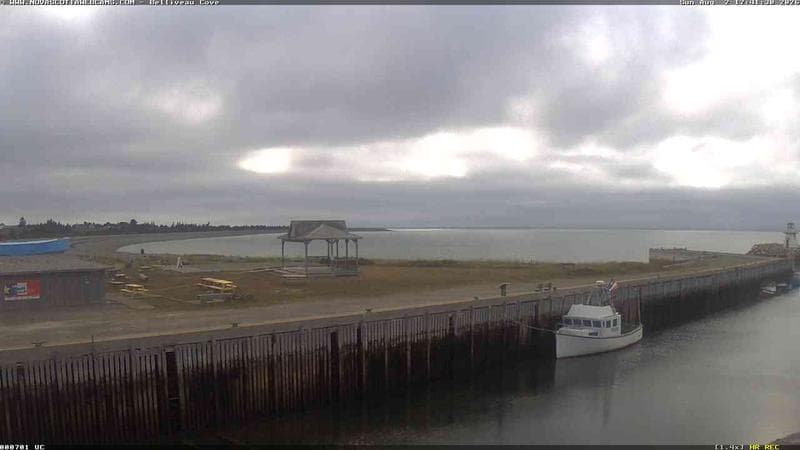 Belliveau Cove Harbour