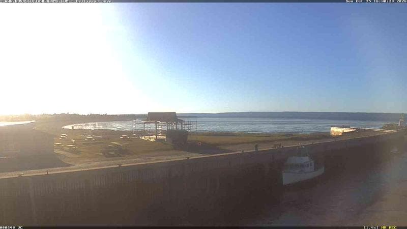 Belliveau Cove Harbour