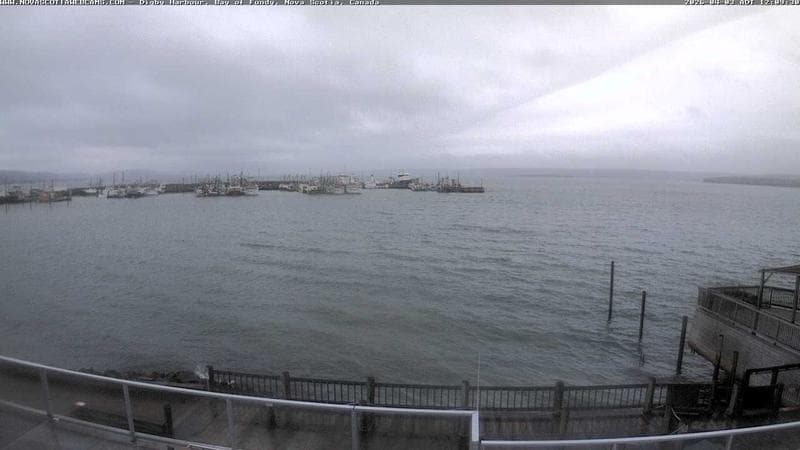 Digby Harbour