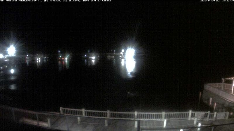 Digby Harbour