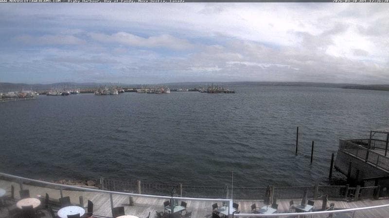 Digby Harbour