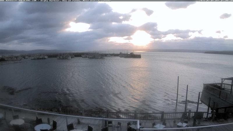Digby Harbour