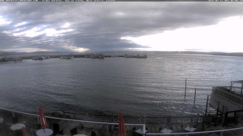 Digby Harbour