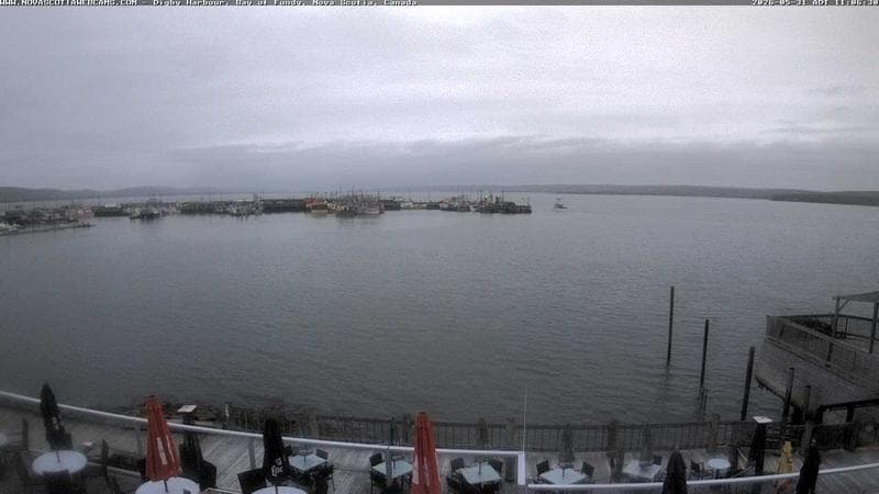 Digby Harbour