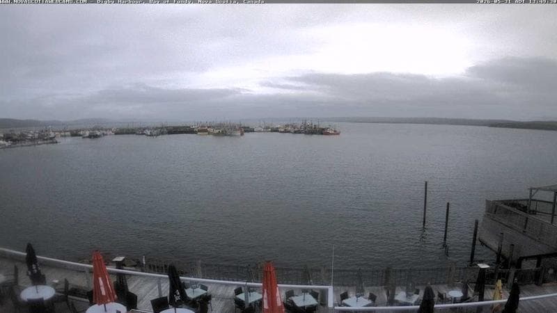 Digby Harbour