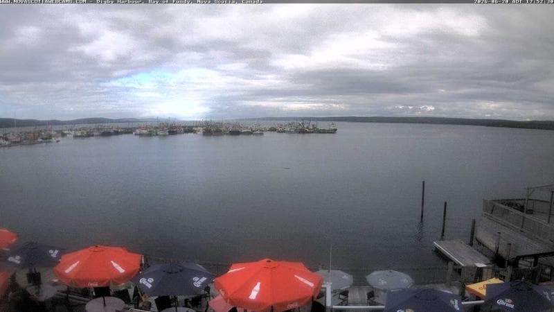 Digby Harbour