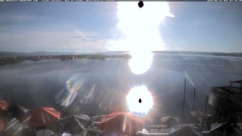 Digby Harbour