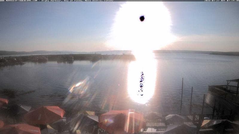 Digby Harbour