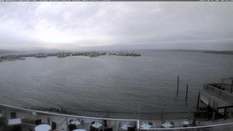 Digby Harbour