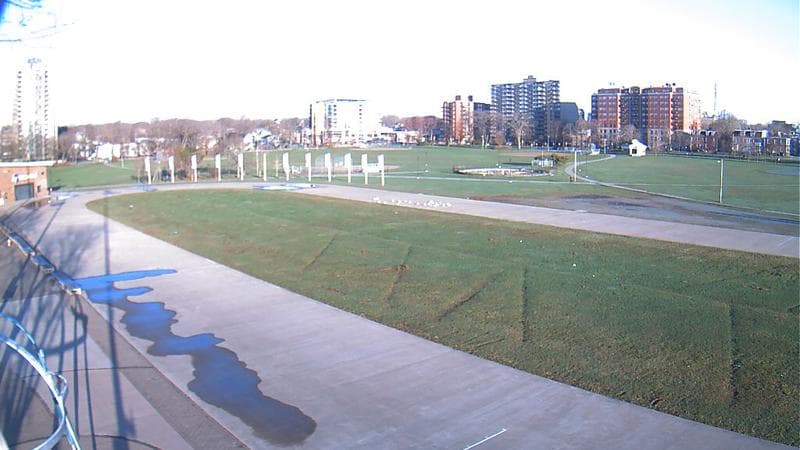 Emera Oval