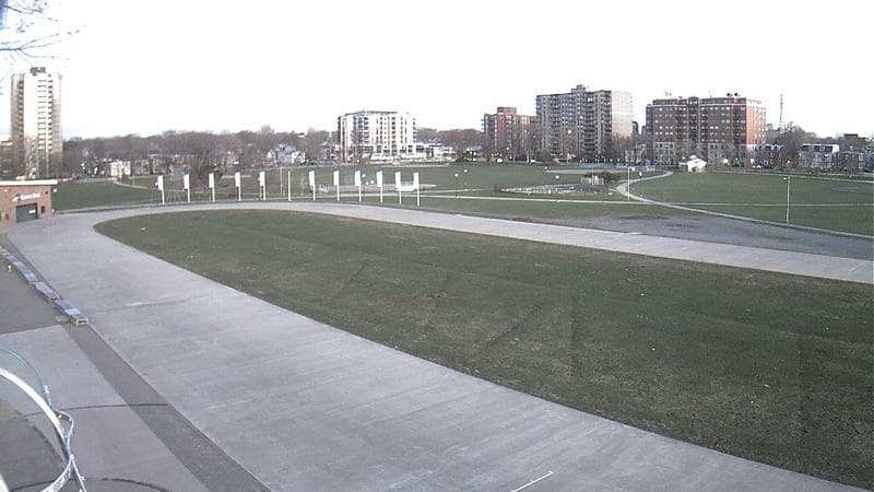 Emera Oval