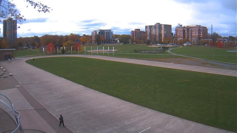 Emera Oval