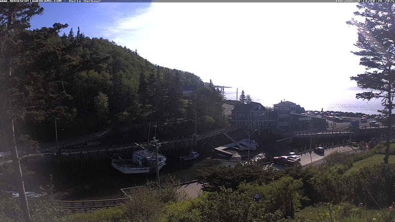 Hall's Harbour