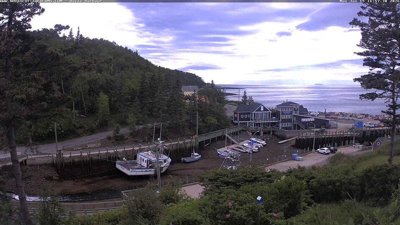 Hall's Harbour