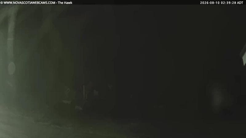 The Hawk