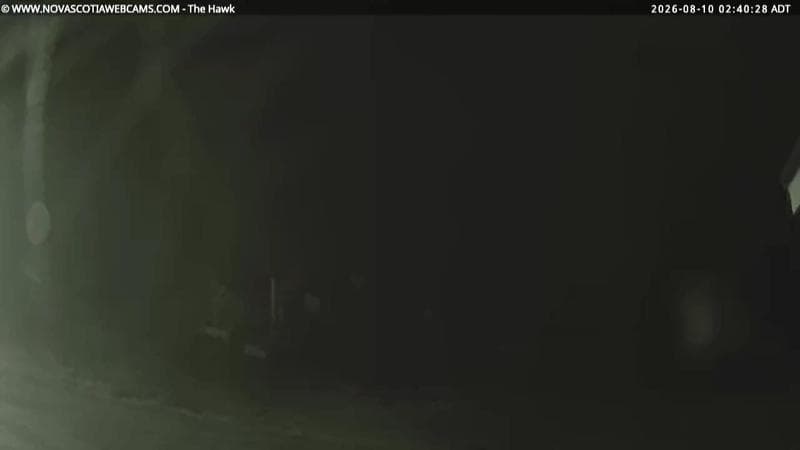 The Hawk