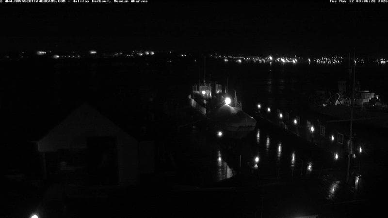 Museum Wharves