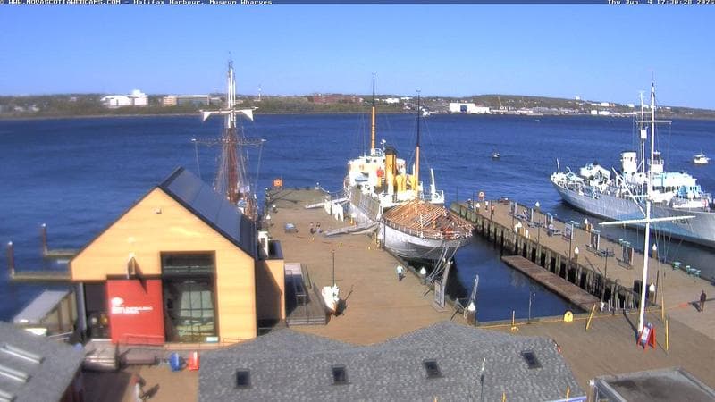 Museum Wharves