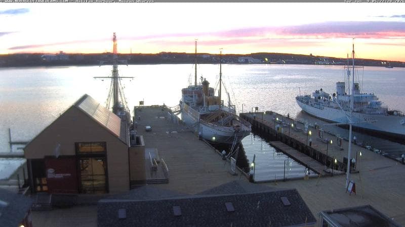 Museum Wharves