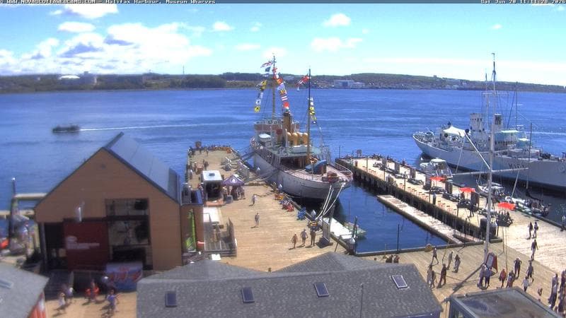 Museum Wharves