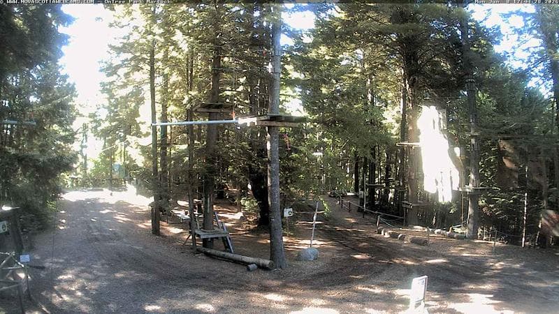 Ontree Park
