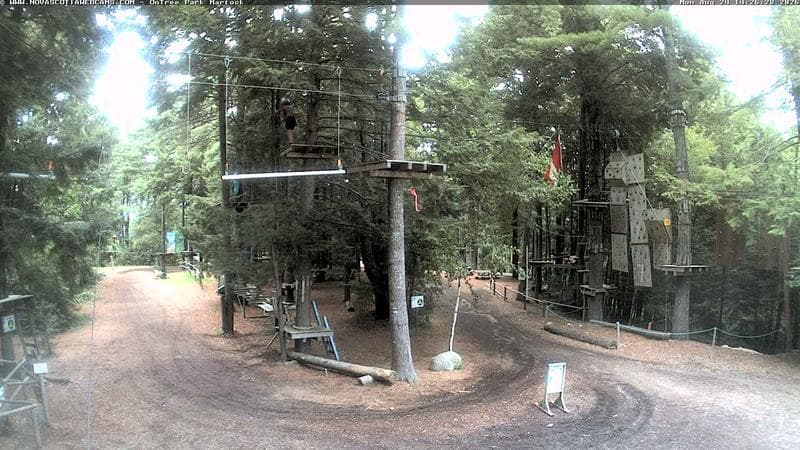 Ontree Park