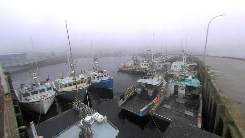 Lobster Rock Wharf East