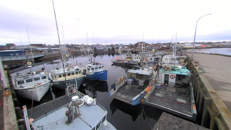 Lobster Rock Wharf East