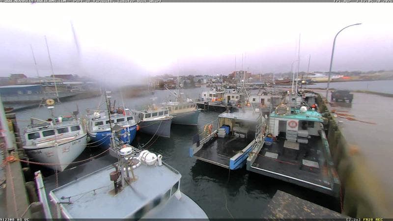 Lobster Rock Wharf East