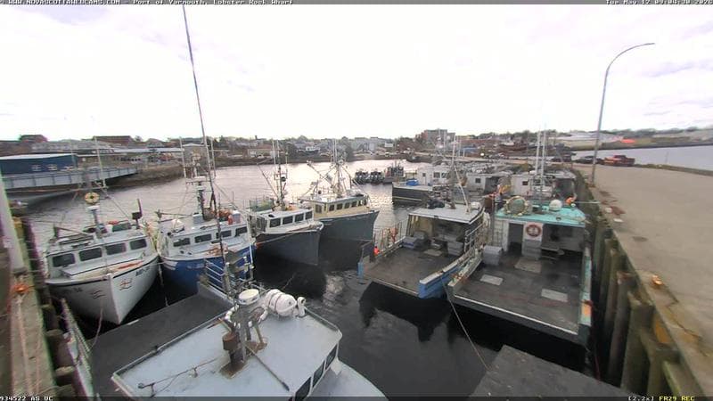 Lobster Rock Wharf East
