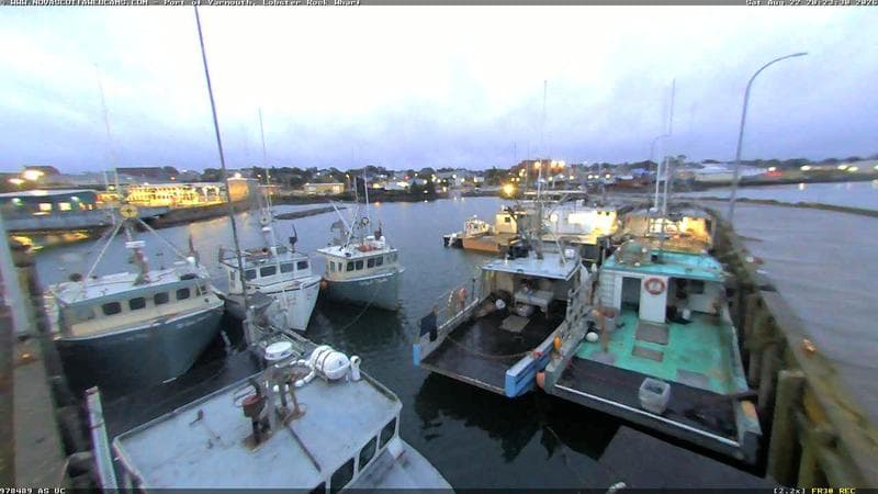 Lobster Rock Wharf East