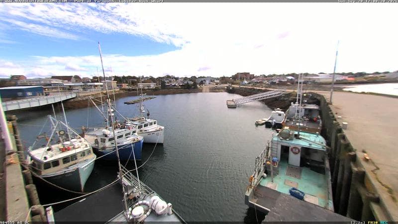 Lobster Rock Wharf East