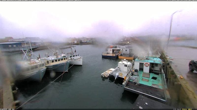 Lobster Rock Wharf East
