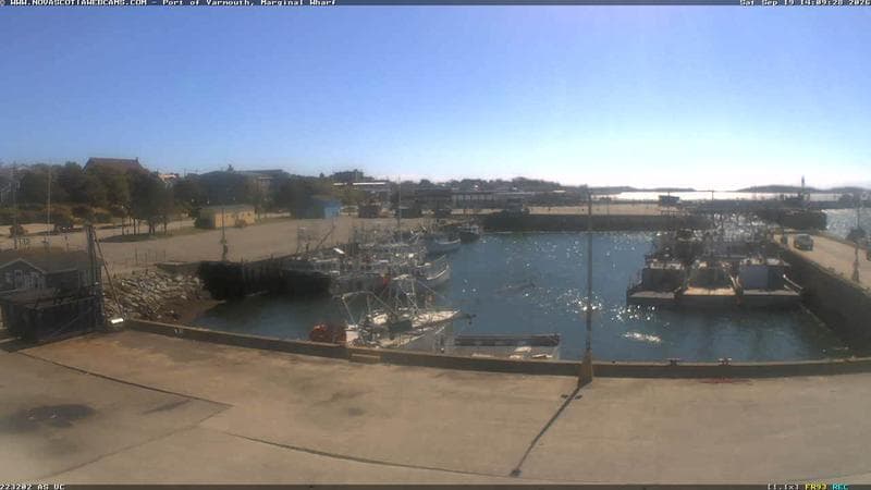 Marginal Wharf South