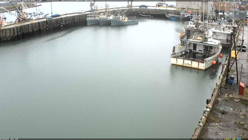 Marginal Wharf North