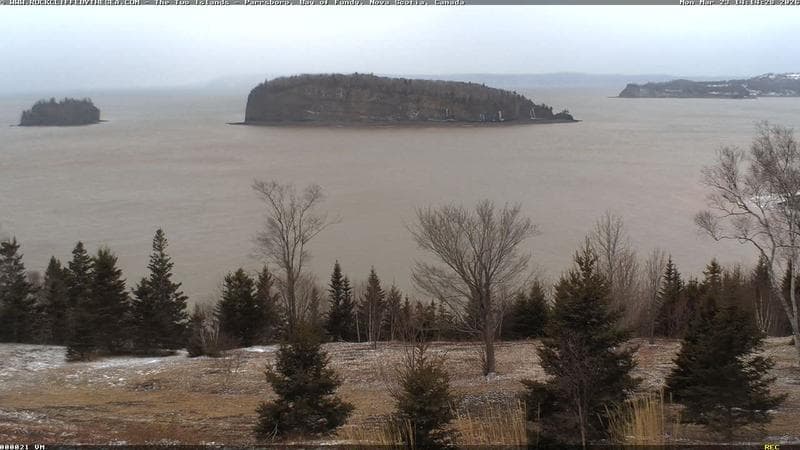 Rockcliffe by the Sea