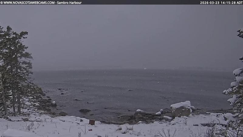 Sambro Harbour