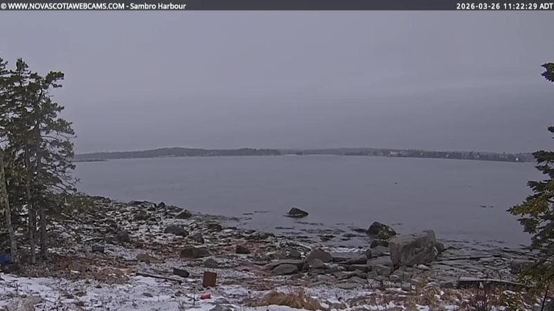 Sambro Harbour