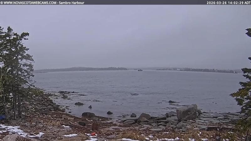Sambro Harbour