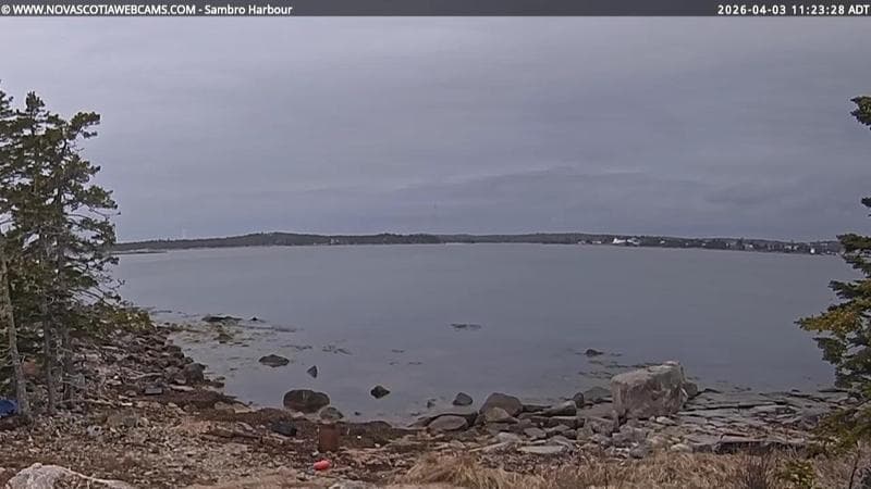 Sambro Harbour