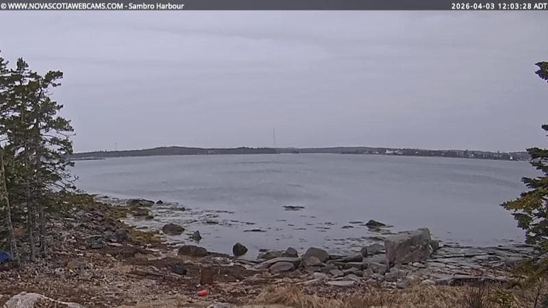 Sambro Harbour