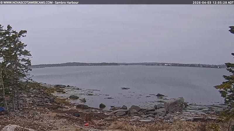 Sambro Harbour